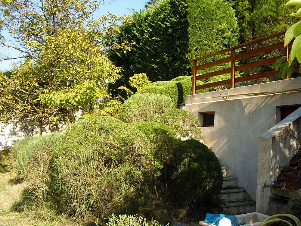 Taille en nuage - Les Jardins de Bastide