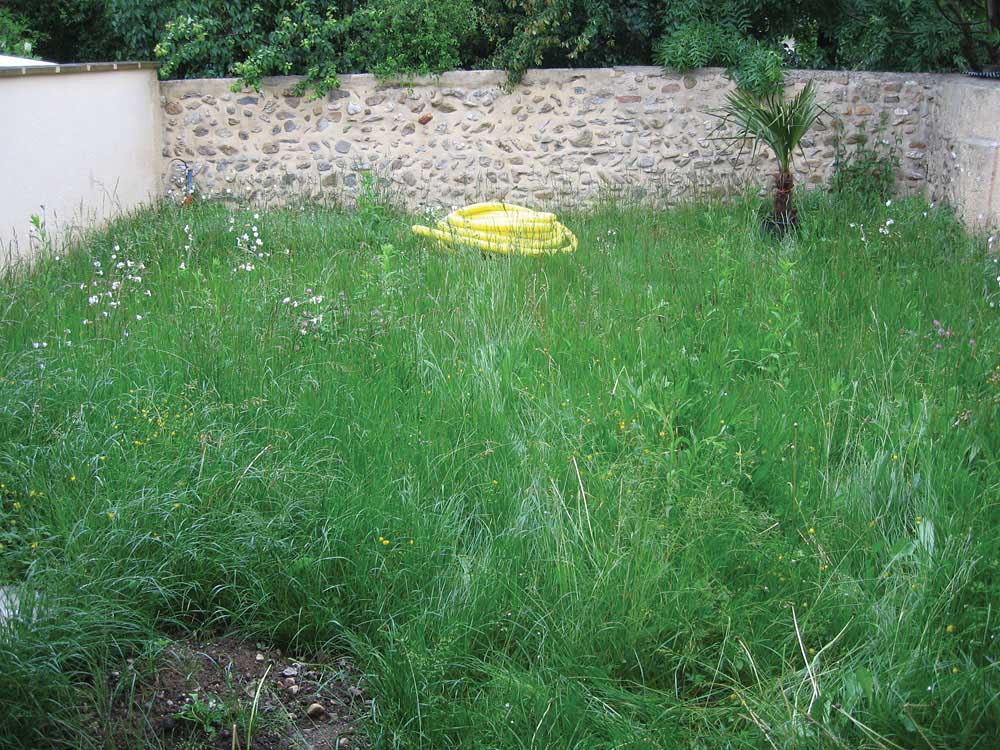 Amnagement d'une cour : Avant amnagement - Les Jardins de Bastide